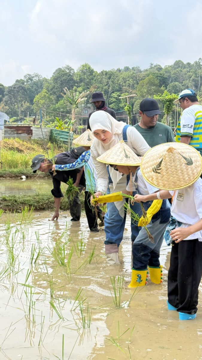 Galeri program