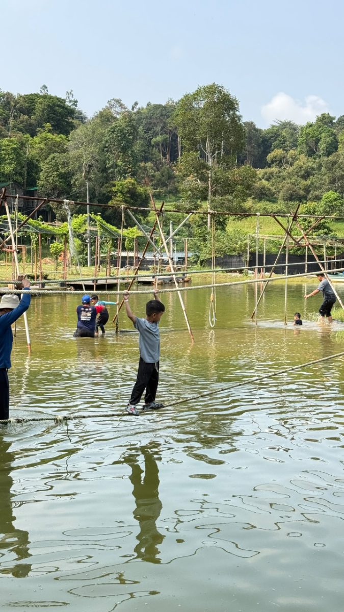 Galeri program