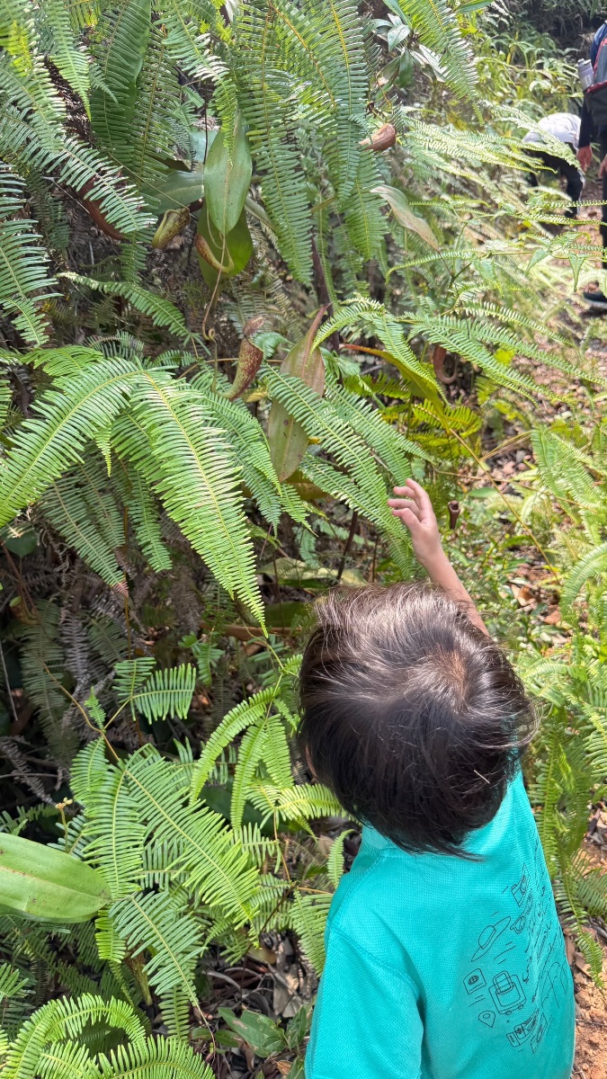 “Periuk kera tu apa?” — Photo 3 of 4